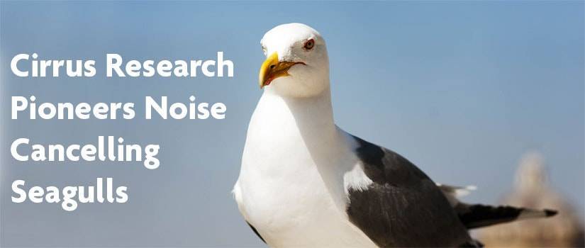 Cirrus Pioneers Noise Cancelling Seagulls