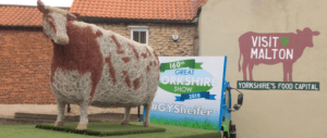 An image from Malton Food Festival, showing a cow made out of straw and a poster advertising the Great Yorkshire Show.